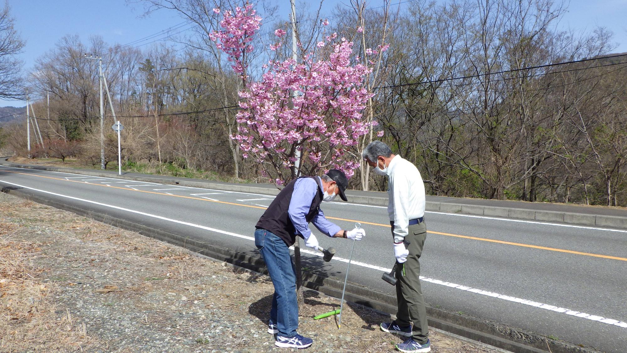 肥料を打ち込んでいる様子３