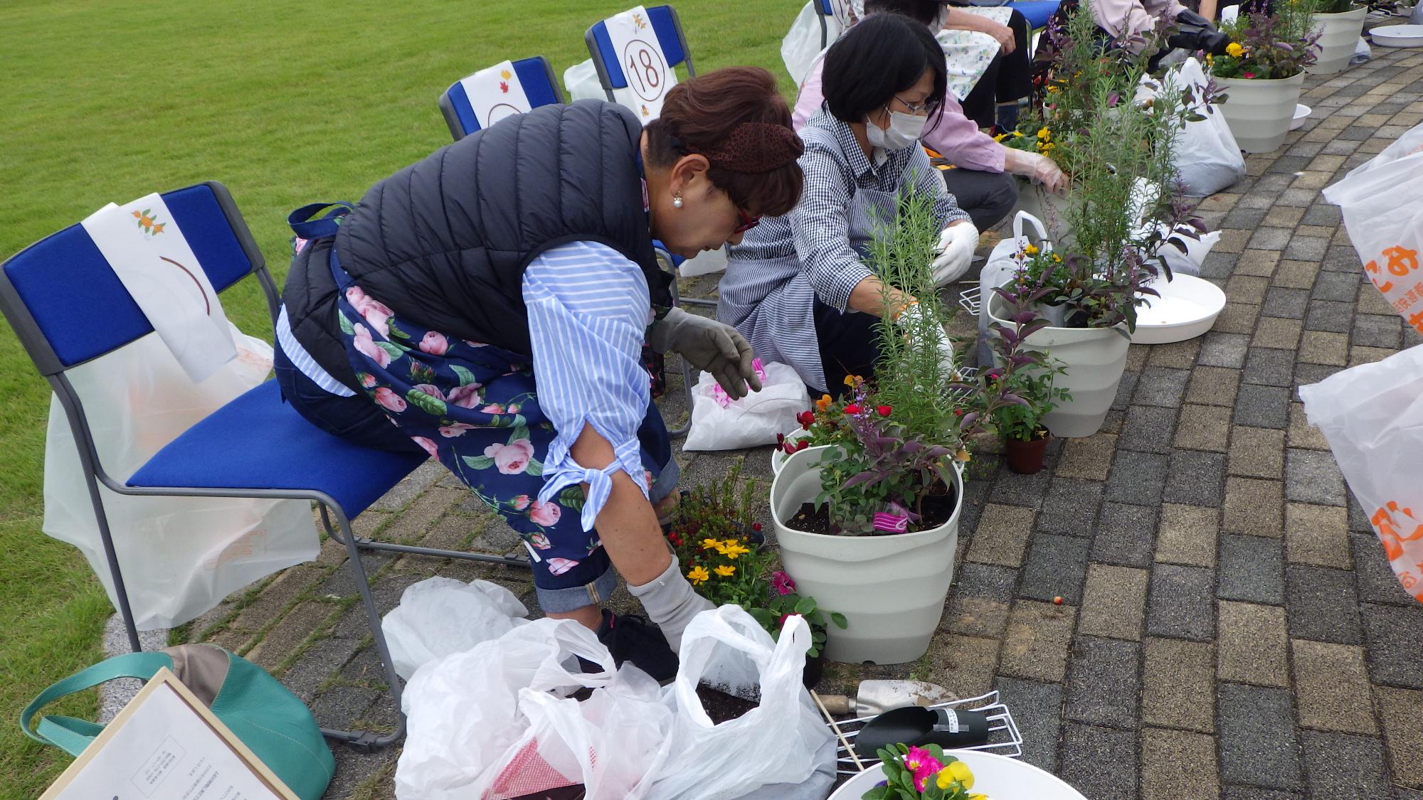 プランターに花を仮置きしている様子