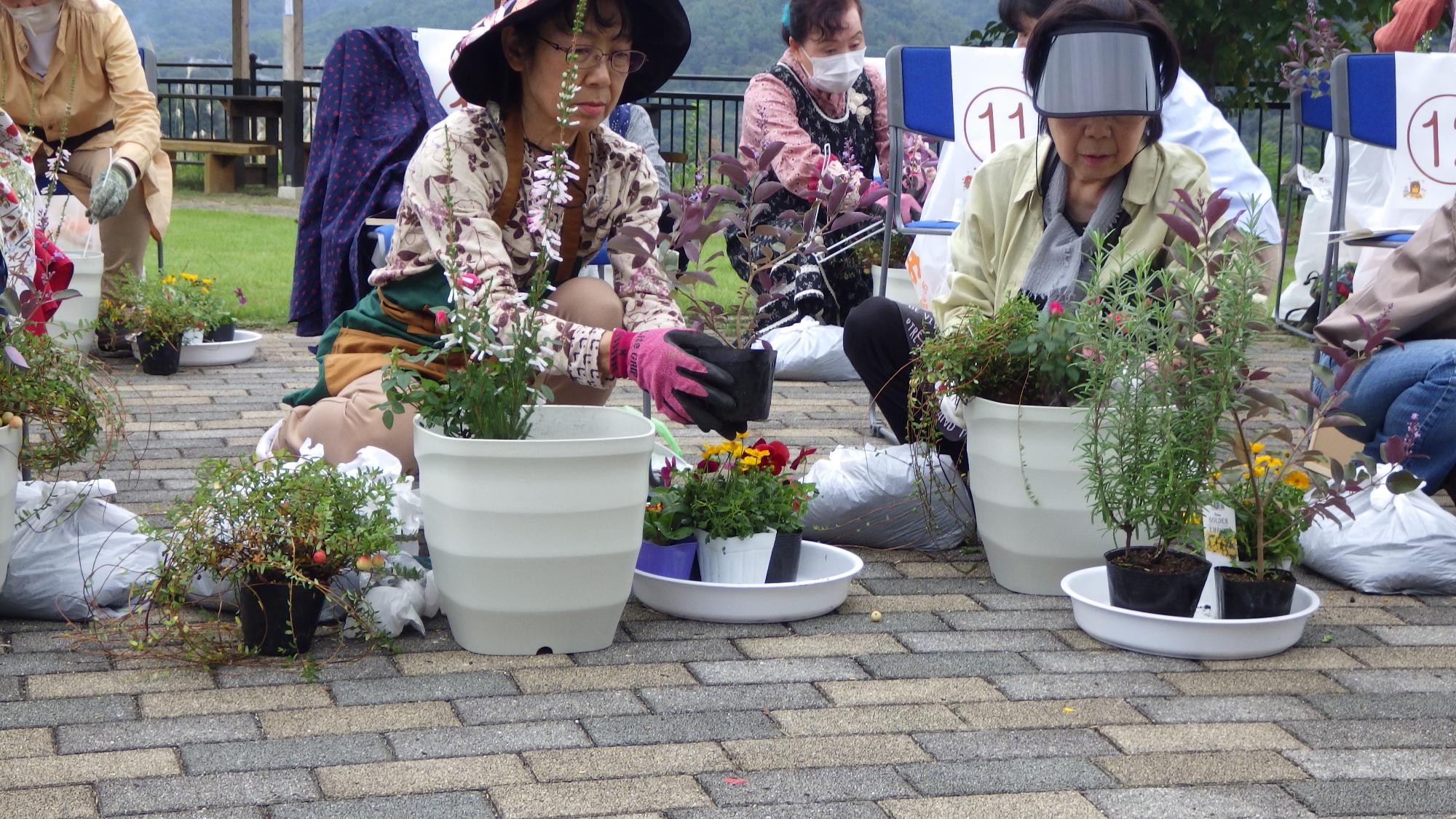 プランターに花を植えている様子