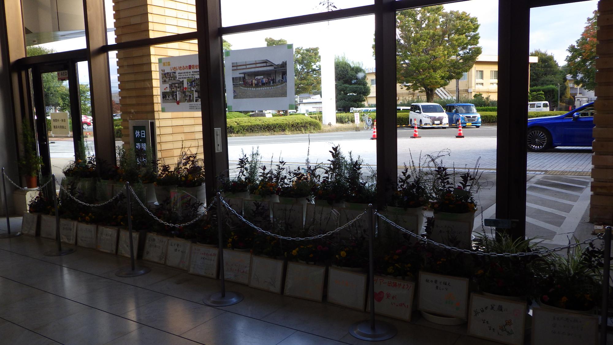 寄せ植え展示の様子