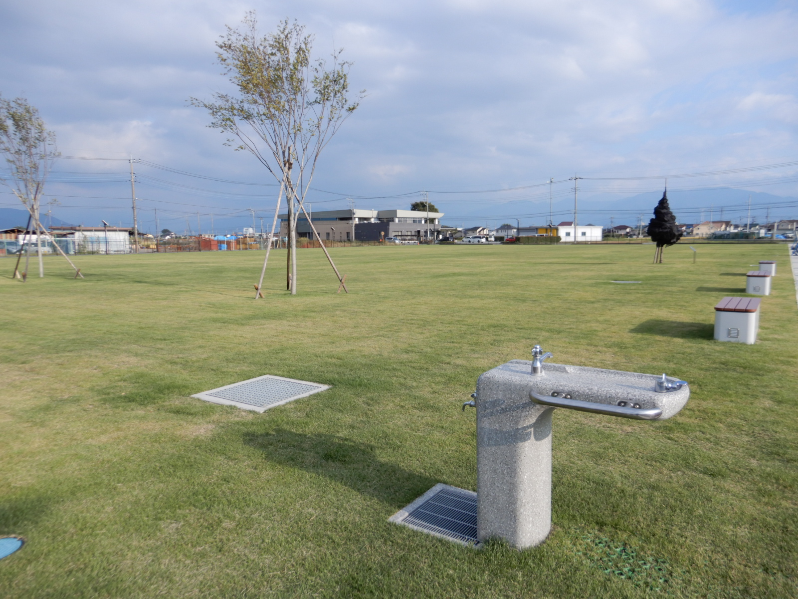 多目的芝生広場の写真