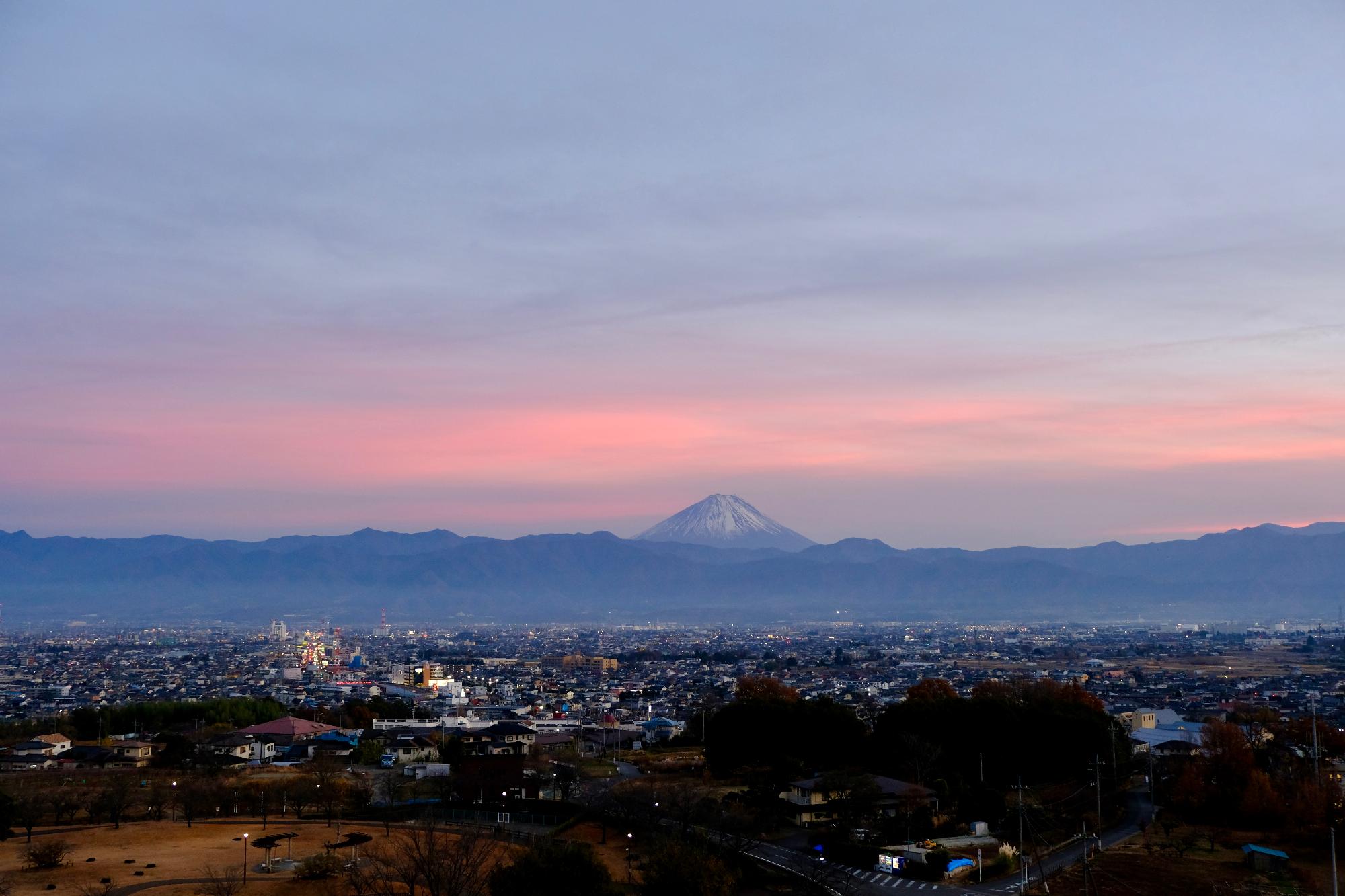 赤坂台総合公園の写真
