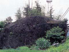 草木が生えているなだらかな坂にある巨大な岩の写真