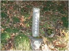 有泉棔斎翁墓の写真