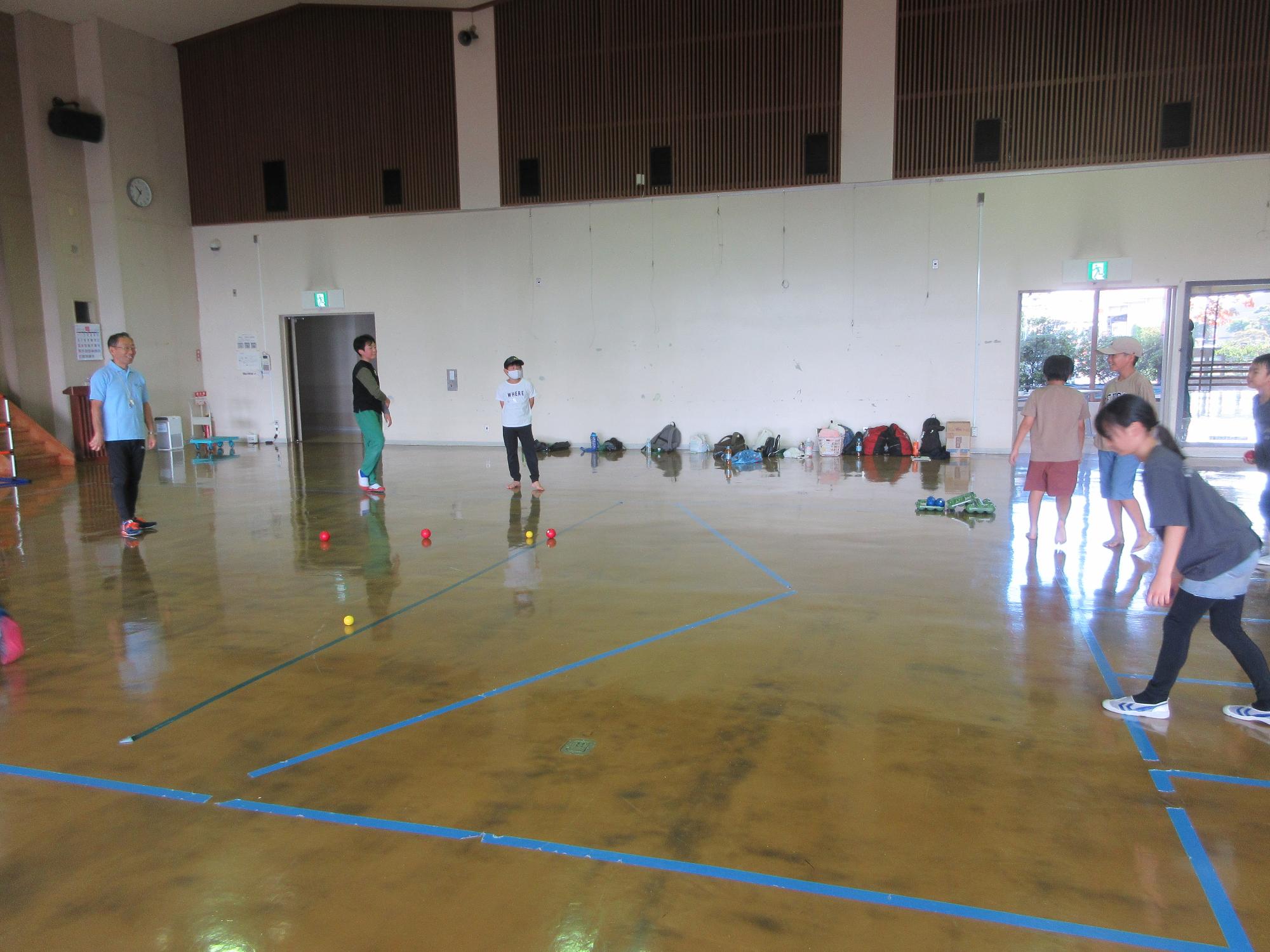 ニチレクボールの写真