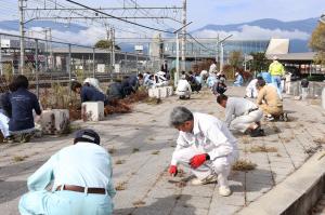 草取りをするみなさん