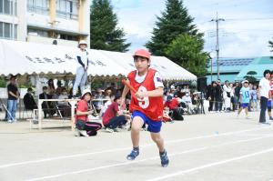 一生懸命走る6年生の赤組の児童