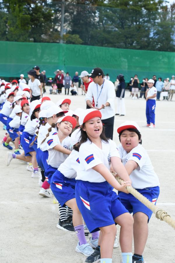 綱引きをする白組の児童