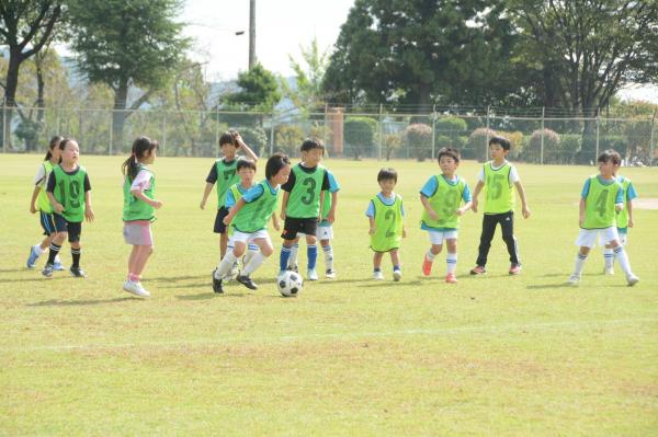 サッカーでドリブルをする小学生と追いかける小学生たち