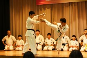 蹴りで木を割る空手家の写真