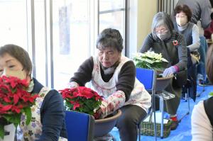 真っ赤なプリンセチアを植え付け