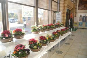 竜王庁舎本館のロビーで展示されました