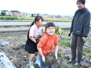 でっかい芋が掘れたよ