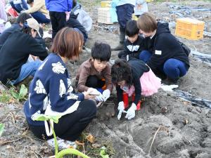 上手にほれているかな