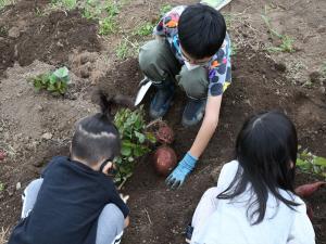 これは大きいぞ