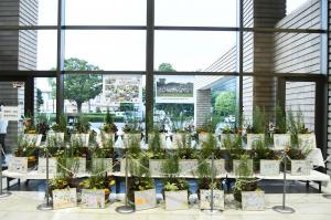 竜王庁舎本館ロビーに飾られています