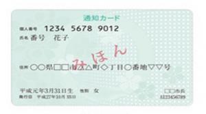 通知カード見本