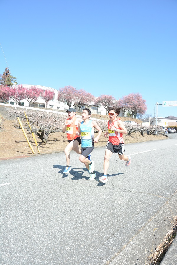 梅を背景に走るランナー