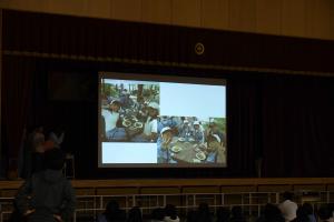 スライドショー