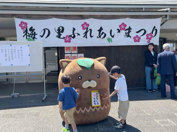 やはたいぬ１