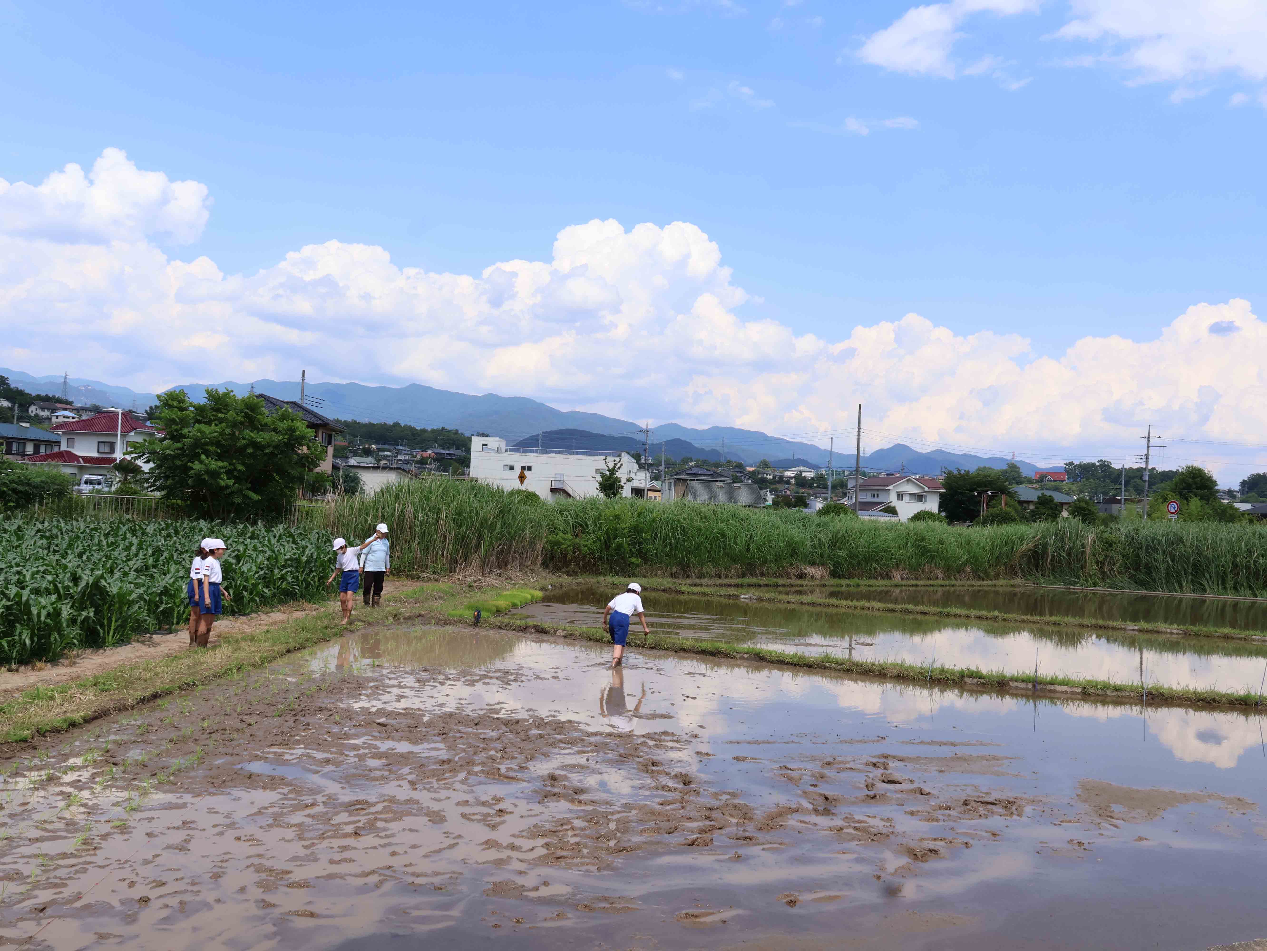 青空と田んぼと児童