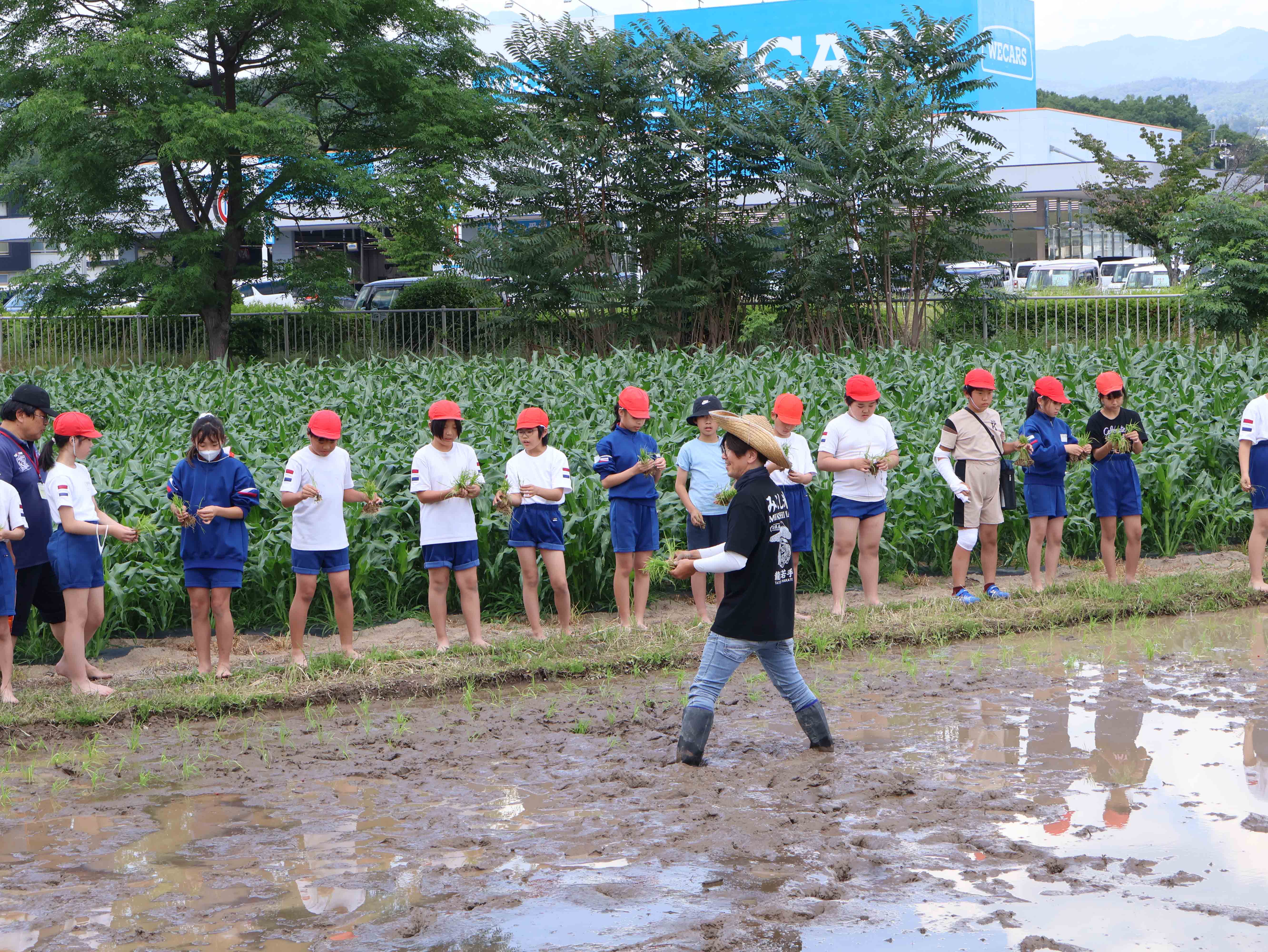 田んぼで田植えの説明をする農家の方と児童2