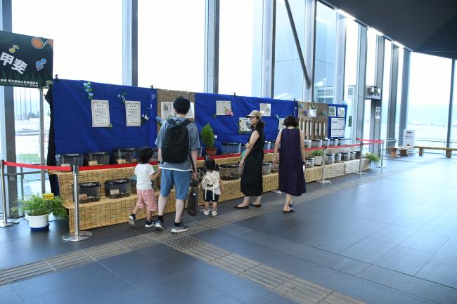 竜王駅南北自由通路で展示された鈴虫を眺める親子連れ