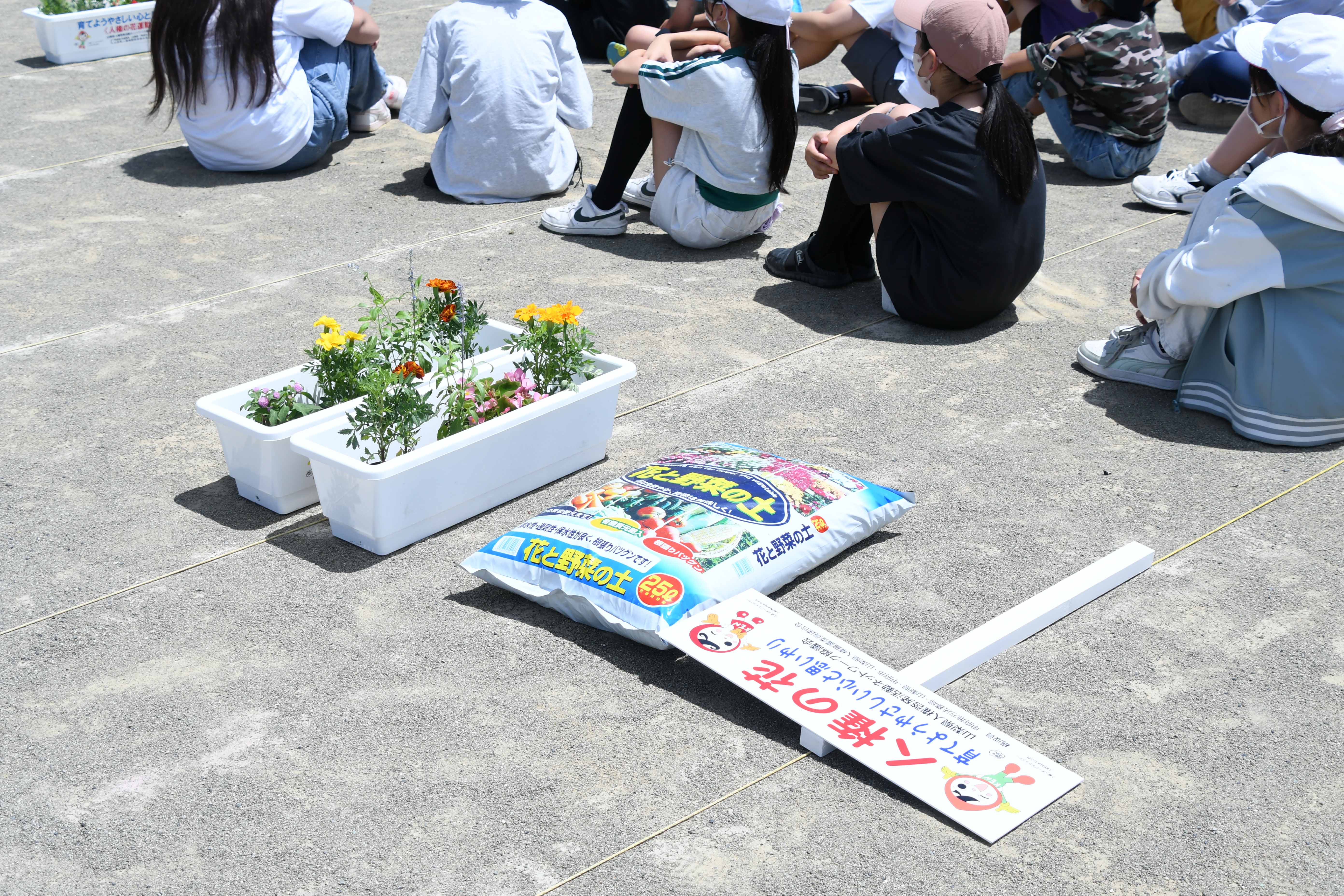 受け取った花など