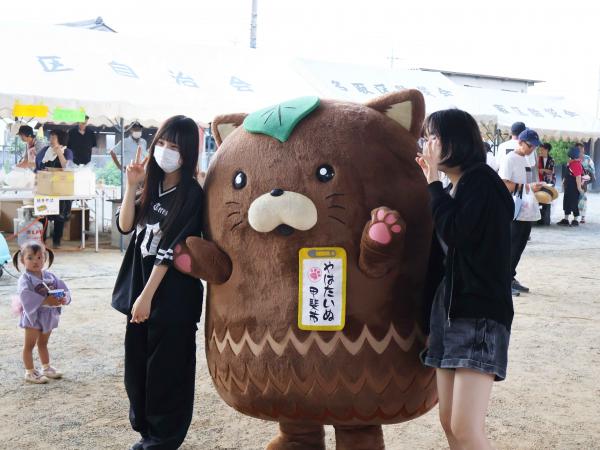 やはたいぬ