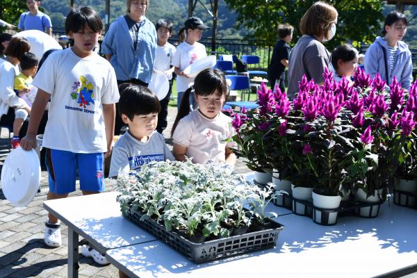 寄せ植え教室2