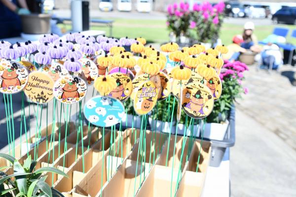 寄せ植え教室5