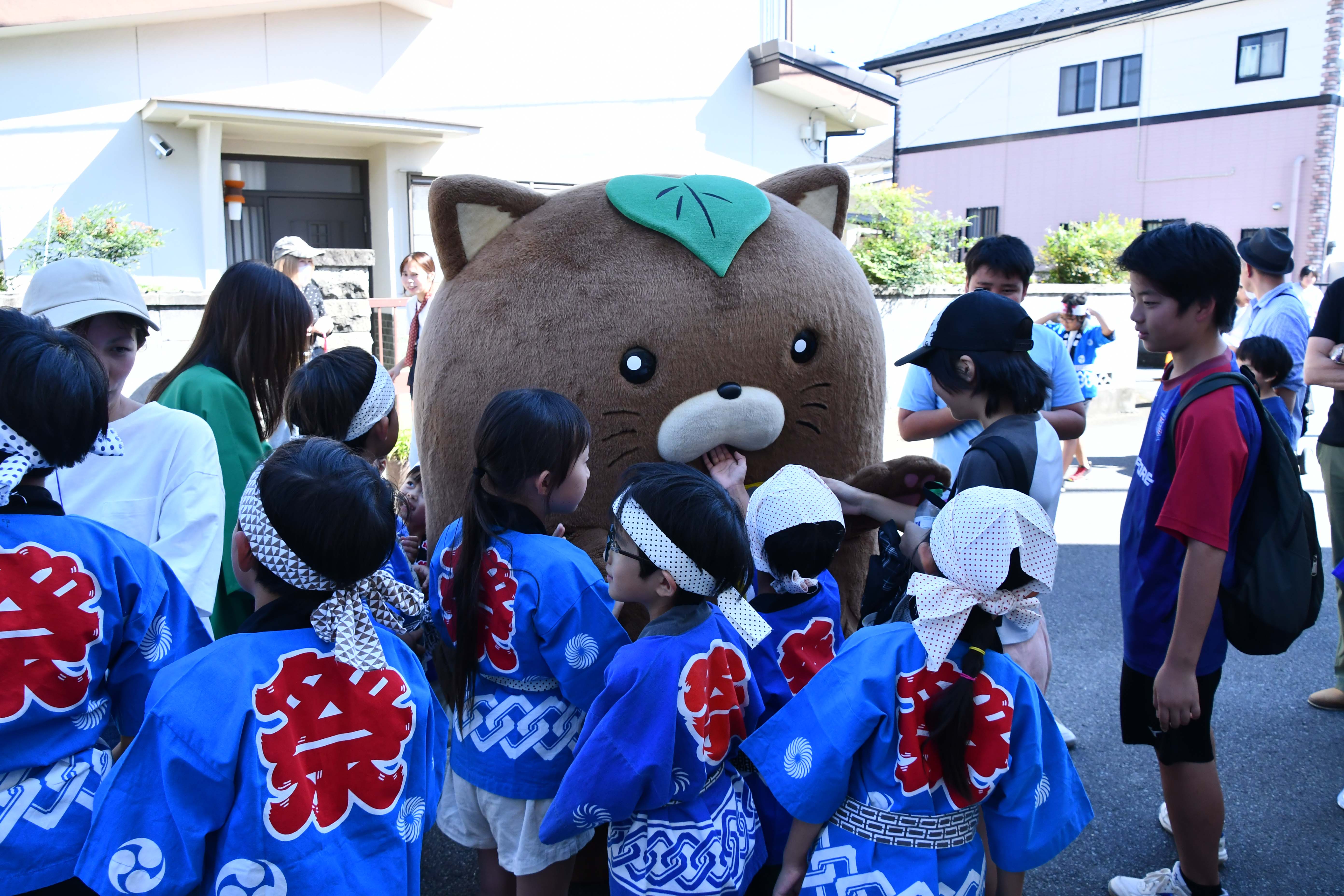 やはたいぬ