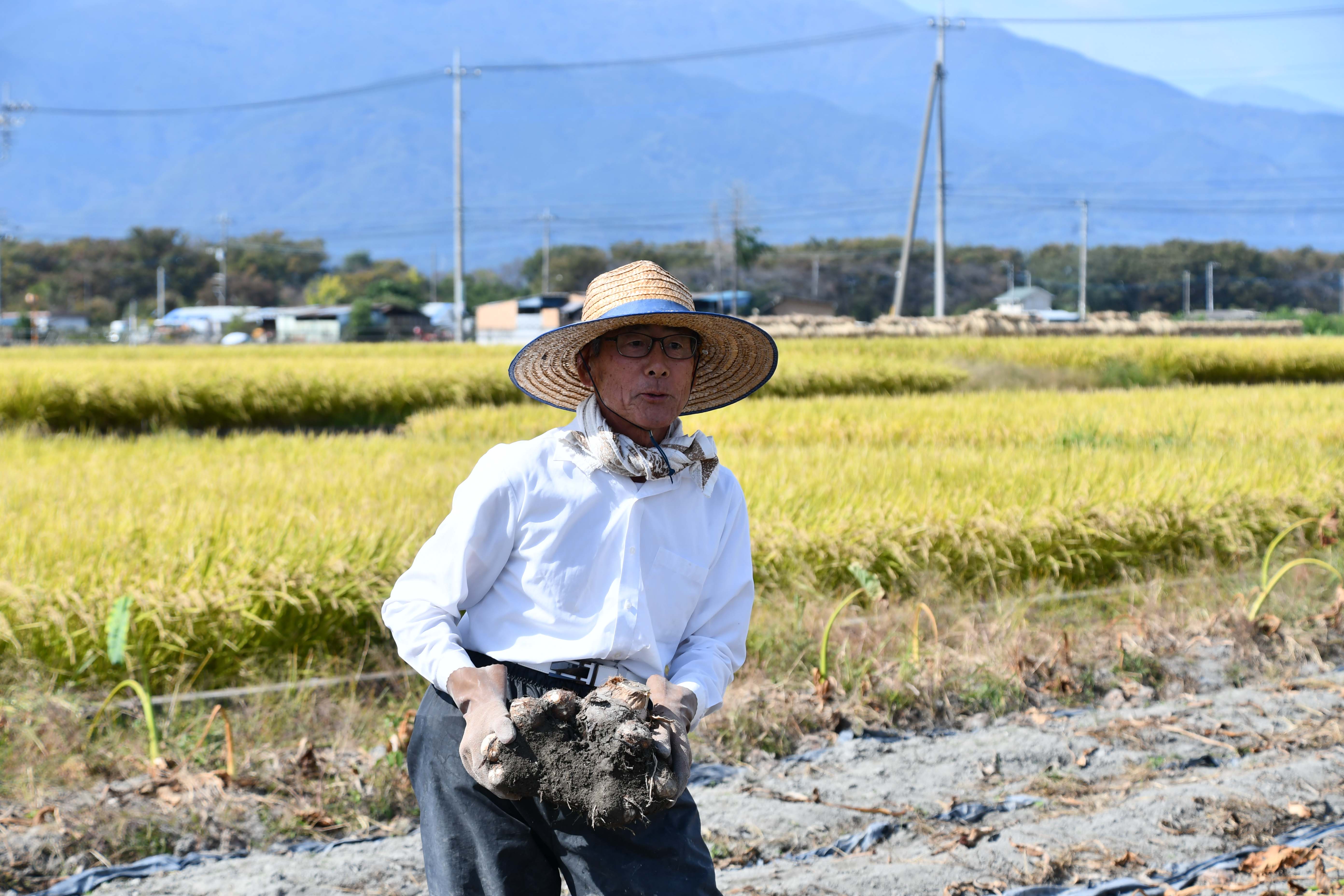 畑を提供してくれた芦沢さん