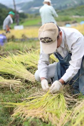 みたらし団子写真8