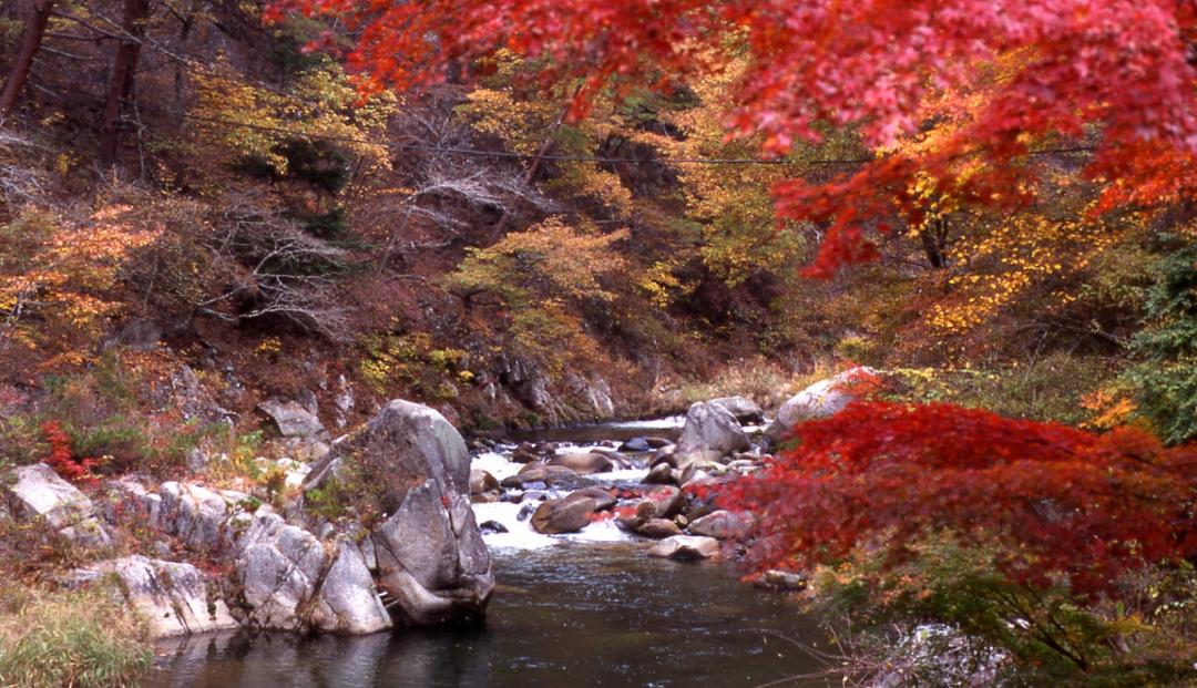 昇仙峡の紅葉