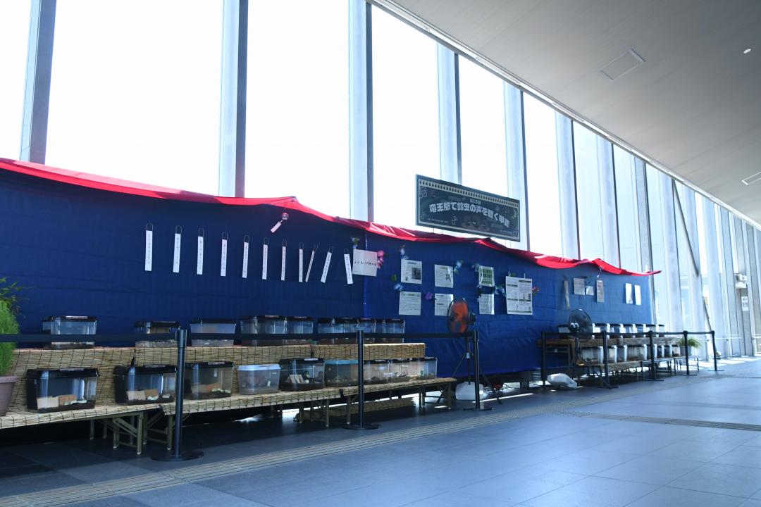 竜王駅の特設展示場