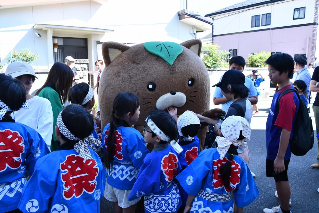 やはたいぬ